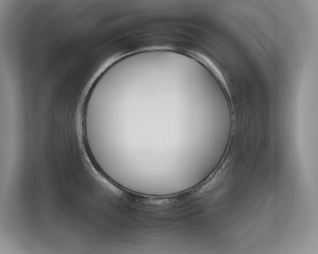 X0000111951243200907271028