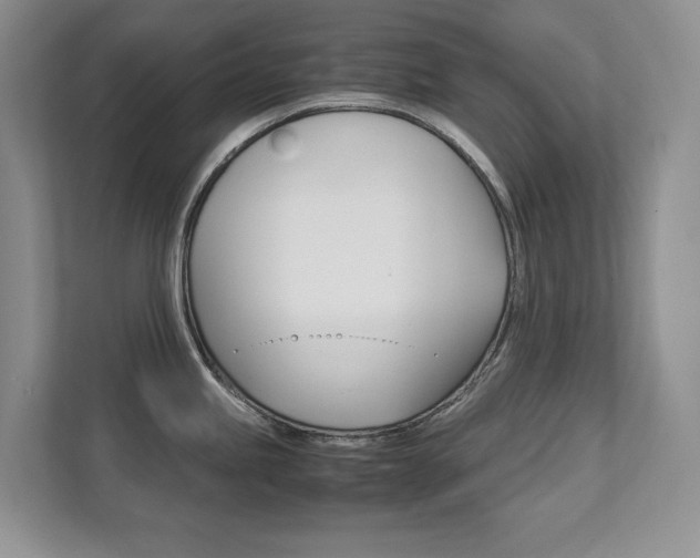 X0000111951245200907271028