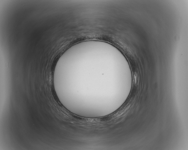 X0000111951251200907271027