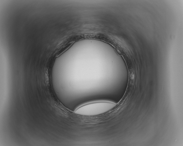 X0000111951252200907271027