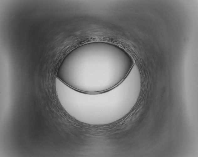 X0000111951253200907271027