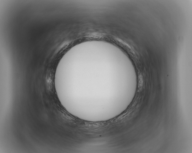 X0000111951254200907271027