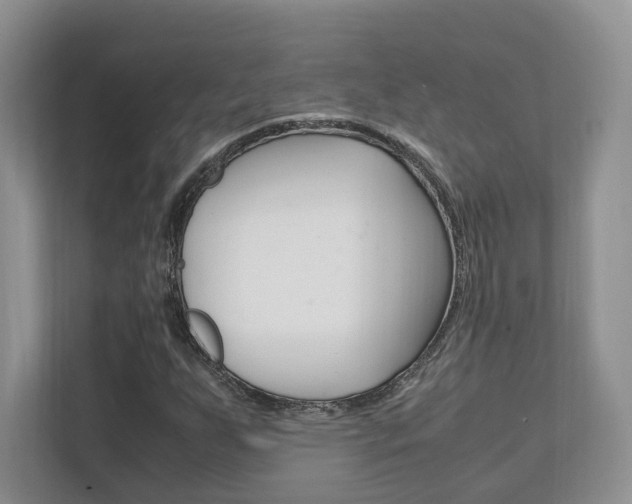 X0000111951255200907271027