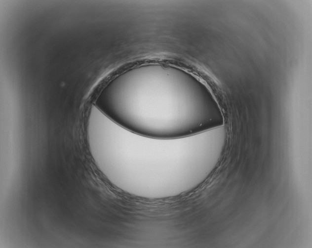 X0000111951256200907271027