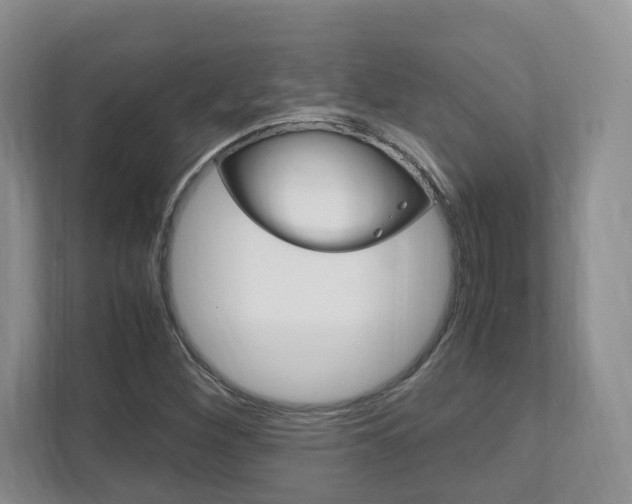 X0000111951260200907271027