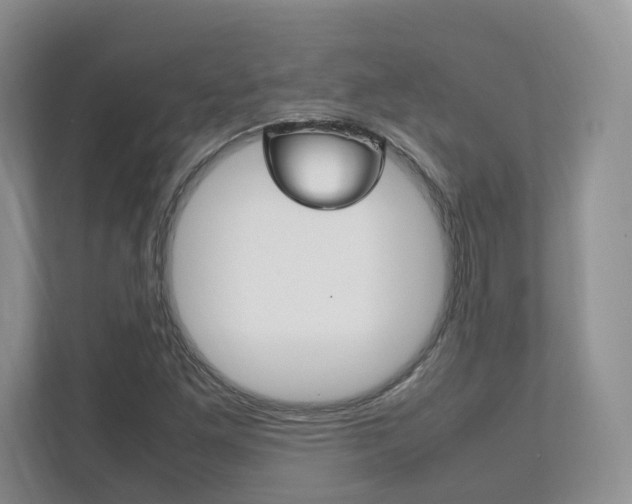 X0000111951261200907271027