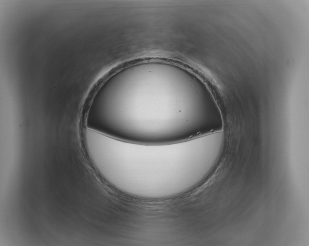 X0000111951264200907271027