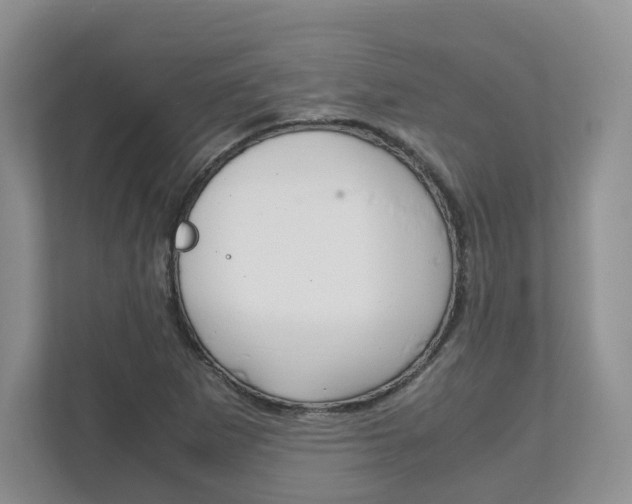 X0000111951265200907271027