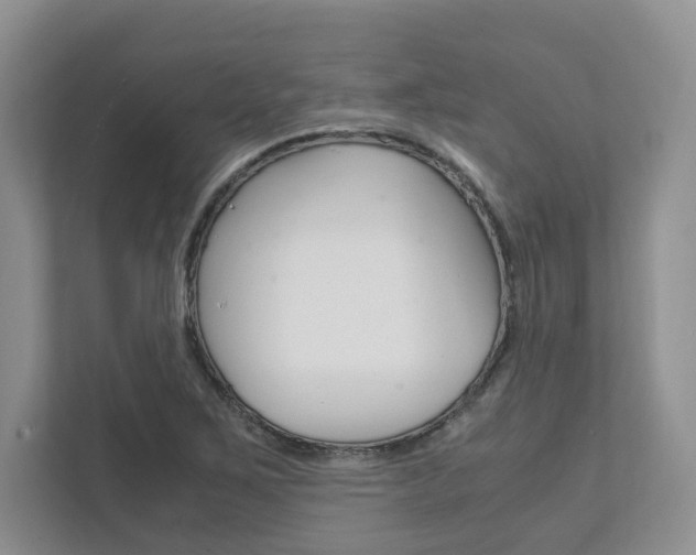 X0000111951267200907271027