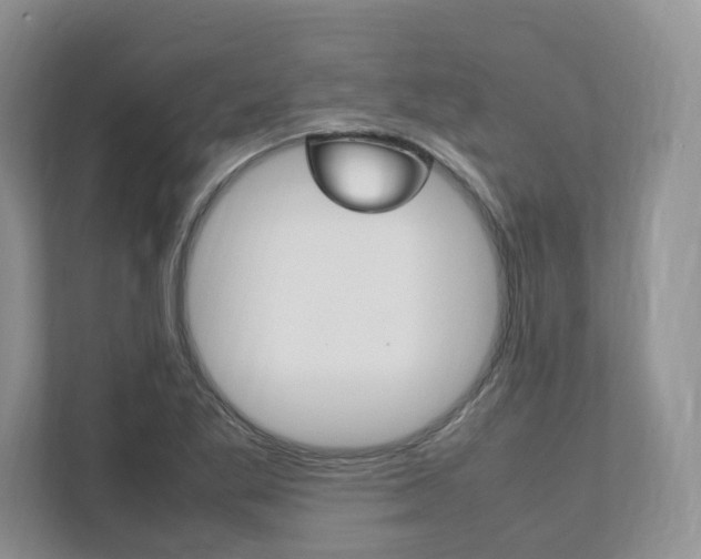 X0000111951269200907271027