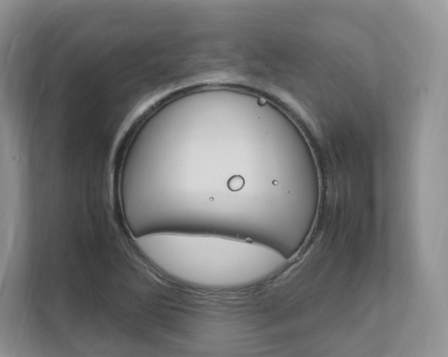 X0000111951270200907271027