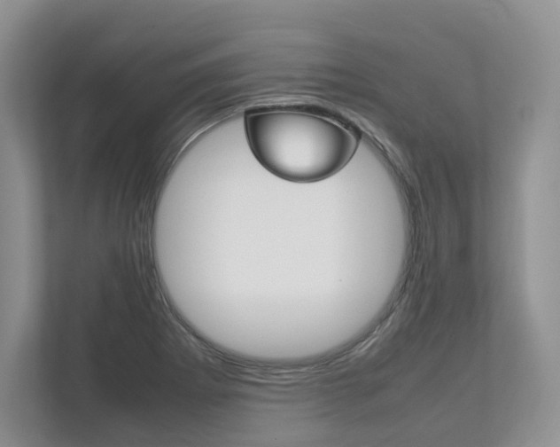 X0000111951273200907271027