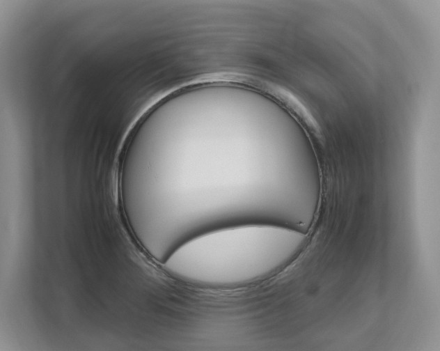 X0000111951276200907271027