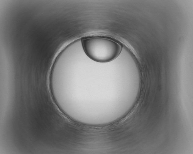 X0000111951277200907271027