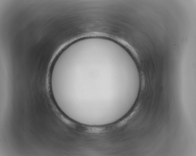 X0000111951278200907271027