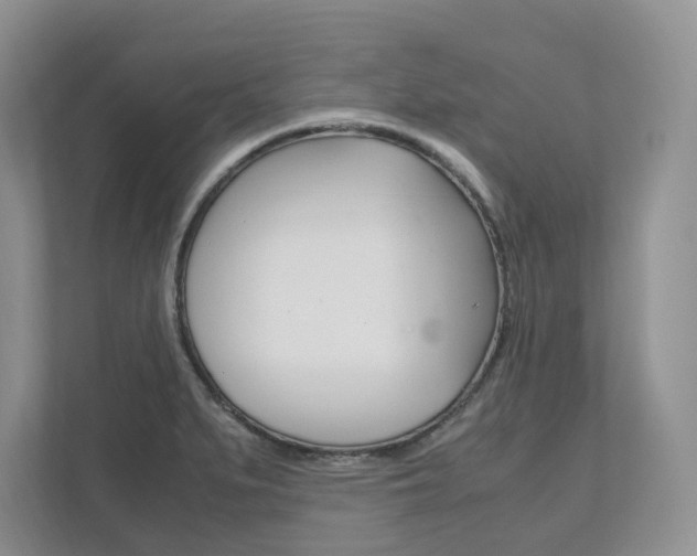 X0000111951279200907271027
