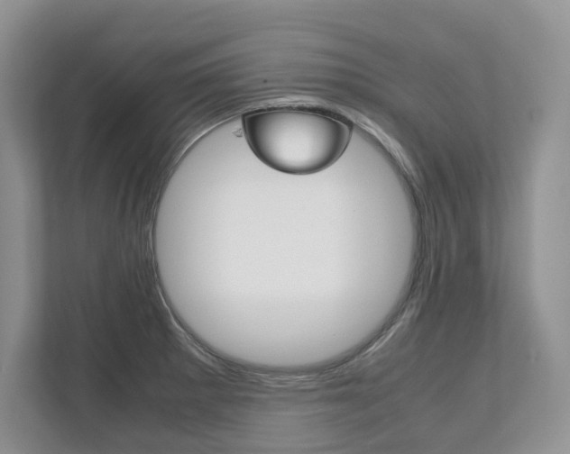 X0000111951281200907271027