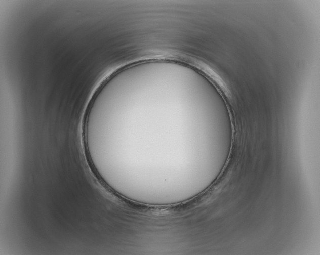 X0000111951283200907271027