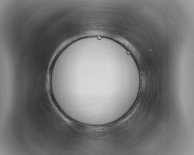 X0000111951286200907271027