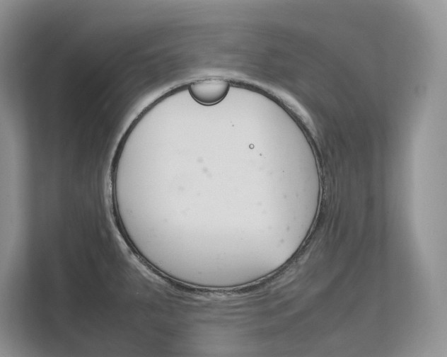 X0000111951287200907271027