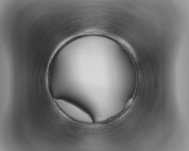 X0000111951288200907271027