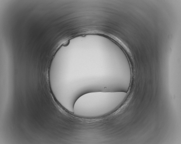 X0000111951289200907271027