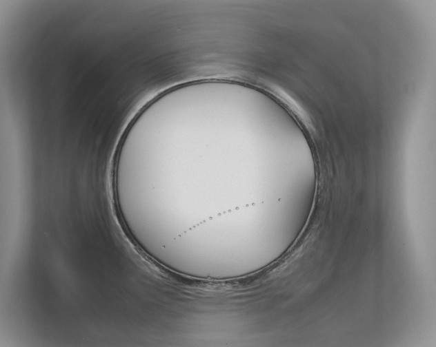 X0000111951291200907271027