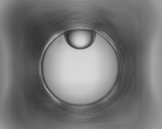 X0000111951293200907271027