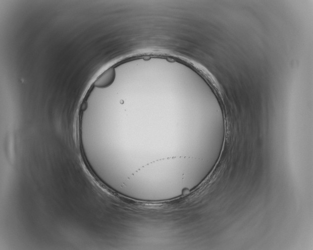 X0000111951295200907271027