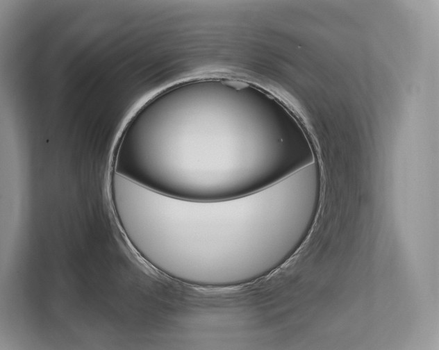X0000111951296200907271027