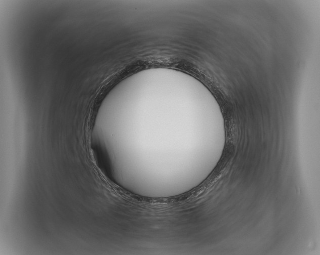 X0000111951297200907271026