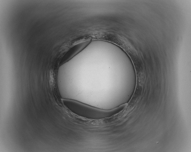 X0000111951298200907271026