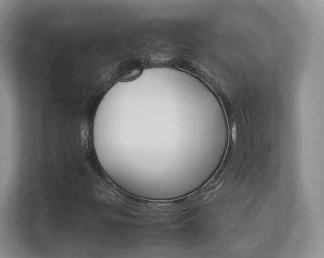 X0000111951299200907271026