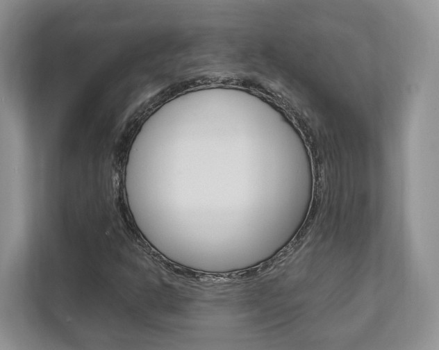 X0000111951302200907271026