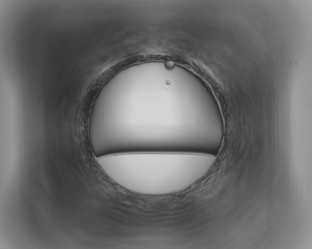 X0000111951303200907271026