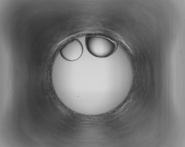X0000111951304200907271026