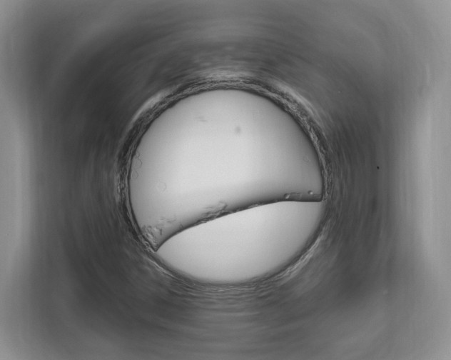 X0000111951306200907271026