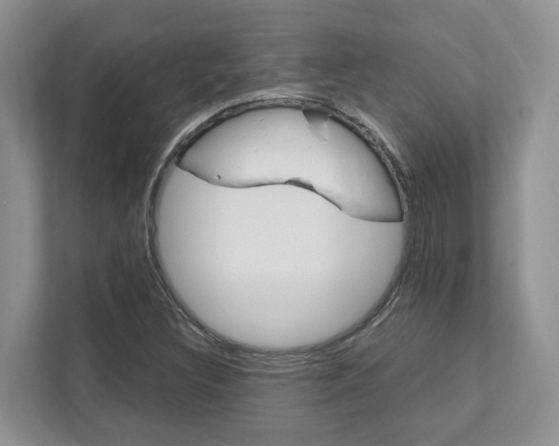 X0000111951308200907271026