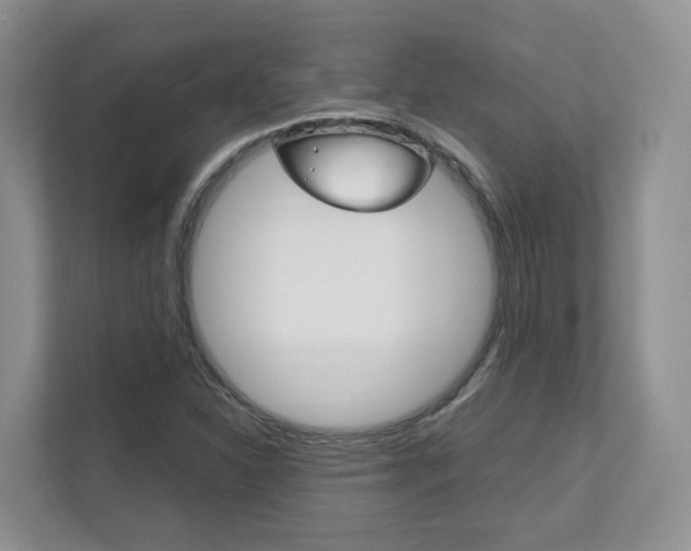 X0000111951310200907271026