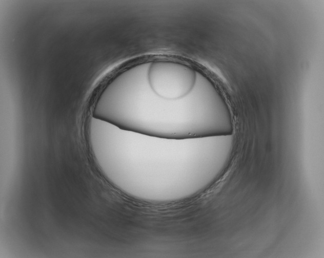 X0000111951311200907271026
