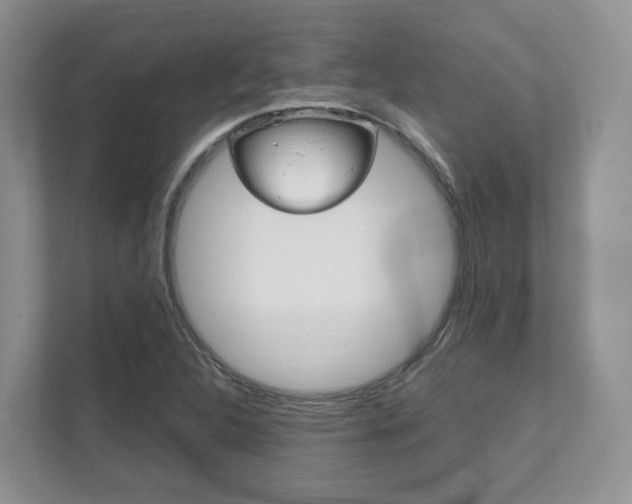 X0000111951312200907271026