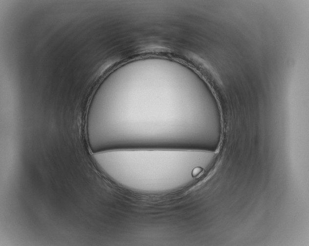X0000111951313200907271026