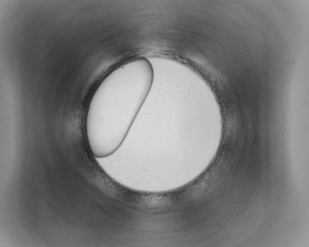 X0000111951314200907271026