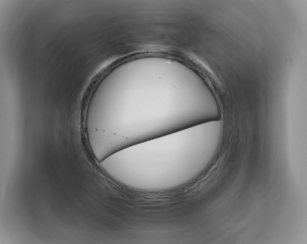 X0000111951315200907271026