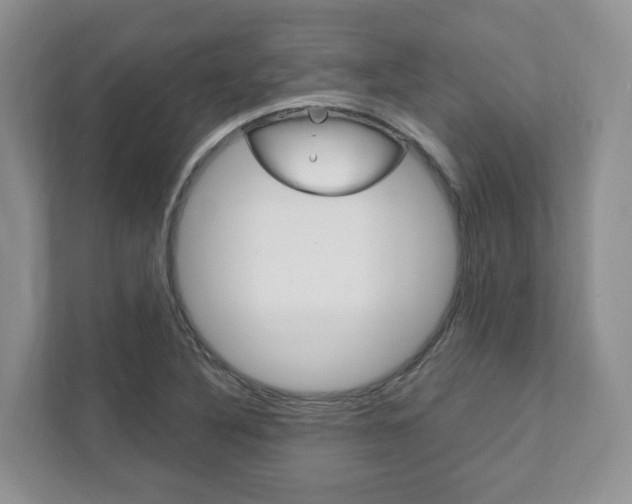 X0000111951316200907271026