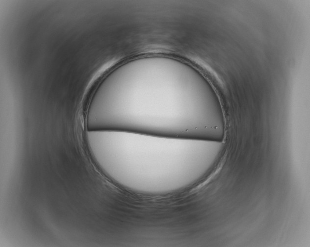X0000111951317200907271026