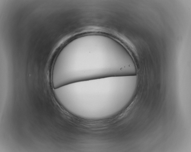 X0000111951318200907271026