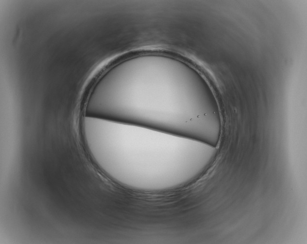 X0000111951319200907271026