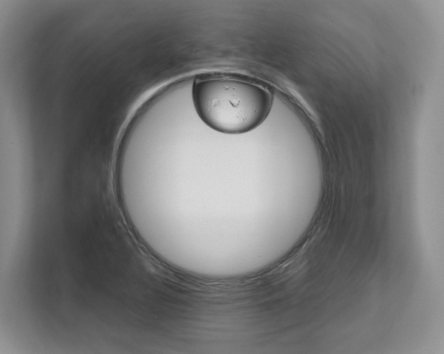 X0000111951320200907271026