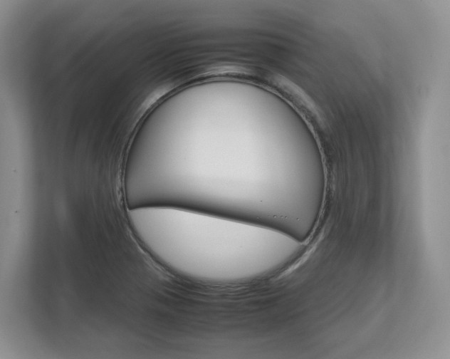 X0000111951321200907271026